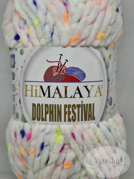 Dolphin Festival