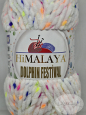 Dolphin Festival