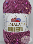 Dolphin Festival